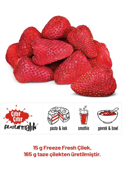 Pol’s Freeze Fresh Çilek 15 g x 1 Adet, Vişne 25 g x 1 Adet , Böğürtlen 20 g x 1 Adet Freeze Dry Dondurularak Kurutulmuş Meyve