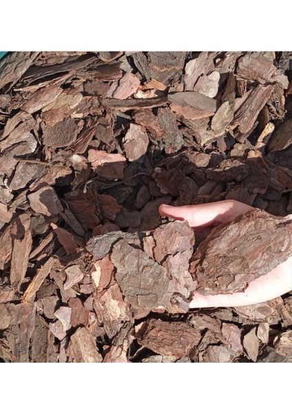 Tekno Trust Dekoratif Çam Kabuğu 100 Lt 5-10 cm Doğal Ağaç Kabuğu Doğal Çam Kabuğu Malçlama Peyzaj fiyatları