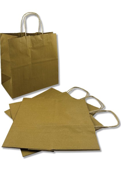 Burgu Saplı Karton Çanta 28X16X29