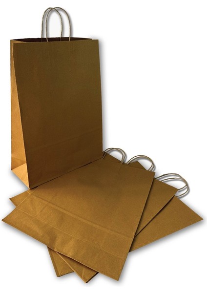Burgu Saplı Karton Çanta 31x12x41