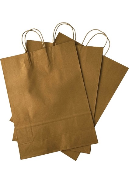 Burgu Saplı Karton Çanta 31x12x41 fiyatları
