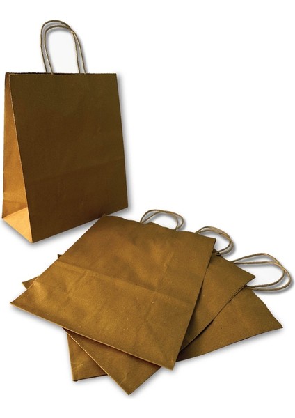 Burgu Saplı Karton Çanta 26x12x31