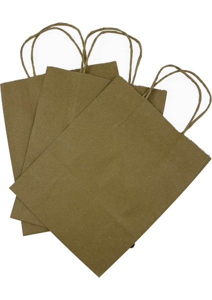 Burgu Saplı Karton Çanta 19x8x24 fiyatları