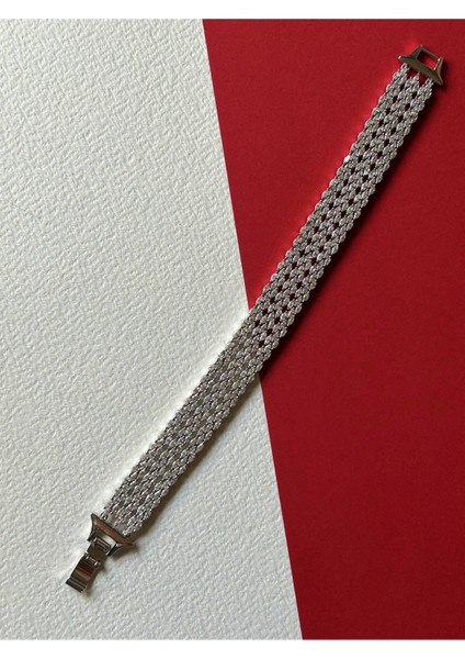 Silver Renk Çelik Zirkon Markiz Taş Işlemeli Balıksırtı Örgü Premium Bileklik fırsatları