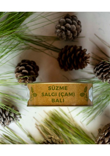 Süzme Bal Çam Balı Salgı Balı 850 gr fırsatları