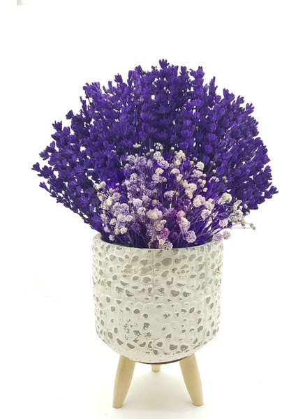 Tekno Trust Ayaklı Beton Gül Saksıda Mor Lavanta ve Cipso & Masa Cicegi Dekoratif Kuru Çiçek & 35 cm