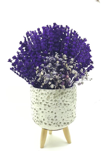 Tekno Trust Ayaklı Beton Gül Saksıda Mor Lavanta ve Cipso & Masa Cicegi Dekoratif Kuru Çiçek & 35 cm fiyatları