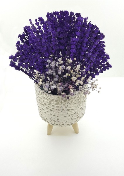 Tekno Trust Ayaklı Beton Gül Saksıda Mor Lavanta ve Cipso & Masa Cicegi Dekoratif Kuru Çiçek & 35 cm modelleri