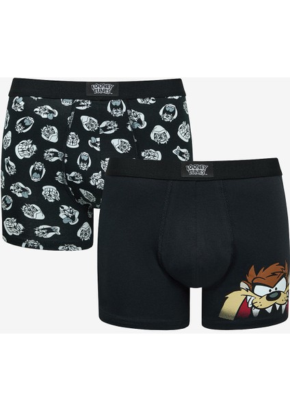 Tasmanian 2li Çok Renkli Boxer