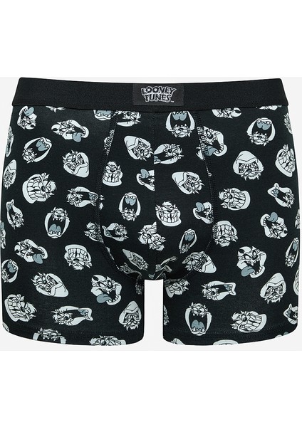 Tasmanian 2li Çok Renkli Boxer
