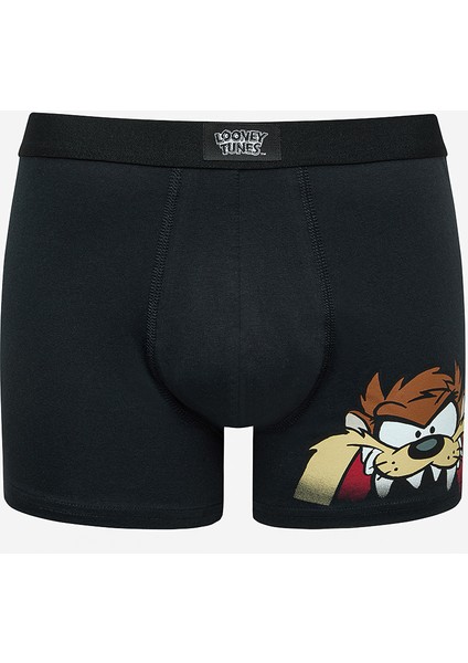 Tasmanian 2li Çok Renkli Boxer