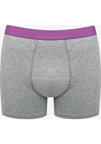 Color Belt 3lü Gri Boxer