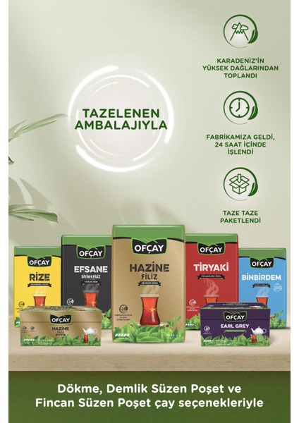 Çamlıca Filizi Çayı 1 kg x 3 Paket