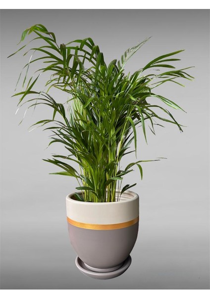Çömlek Saksı Tabaklı Takım Y:30 cm-Ç:31 cm