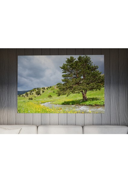 Tablo - Duvar Tablosu - Ağaç ve Yeşil Temalı Tablo - Ev Dekorasyon - 60 x 40 cm