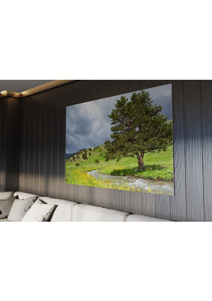 Tablo - Duvar Tablosu - Ağaç ve Yeşil Temalı Tablo - Ev Dekorasyon - 60 x 40 cm