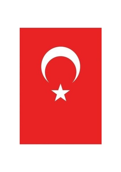 Türk Bayrağı 100X150 cm
