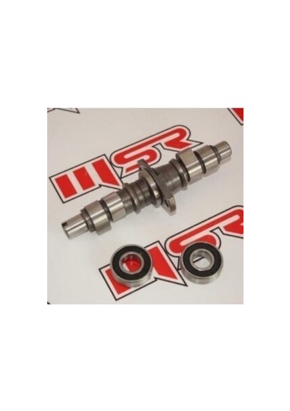 Regal Raptor 350 Eksantrik