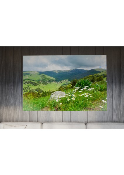 Tablo - Duvar Tablosu - Çiçek ve Yeşil Temalı Tablo - Ev Dekorasyon - 60 x 40 cm