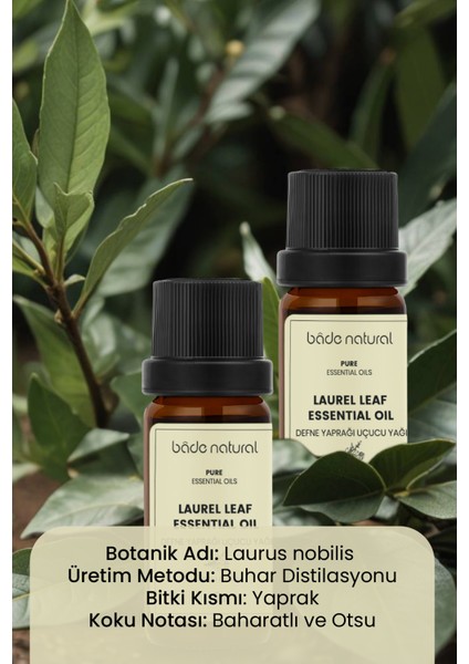 Defne Yaprağı Uçucu Yağı %100 Saf 10 ml