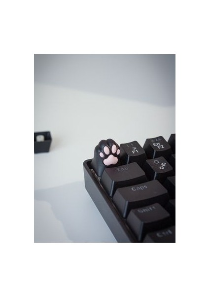Paw Five Mekanik Klavye Tuşu Artisan Keycaps Gamer Aksesuar Siyah