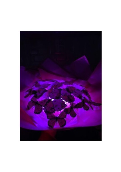 LED Işıklı Hello Kitty Kelebek Buketi modelleri