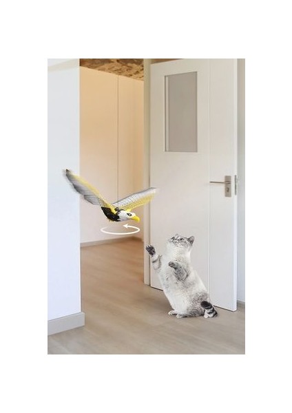 Evcil Hayvan Kedi Oyuncağı Kartal Hareketli Kullanışlı Oyuncak modelleri