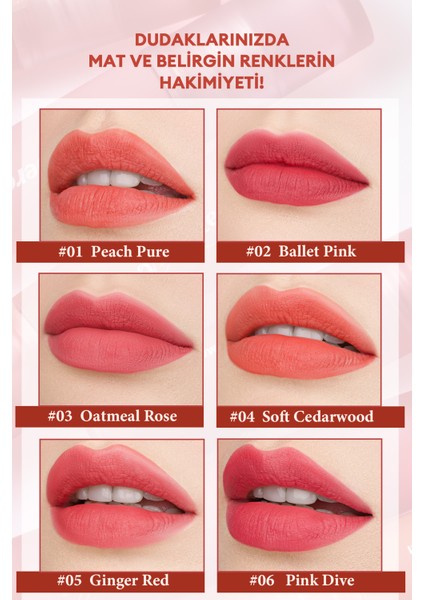 Mat Bitişli, Dolgun ve Pürüzsüz Görünüm Sunan Tint PERIPERA Ink Mood Matte Tint (06 Pink Dive)