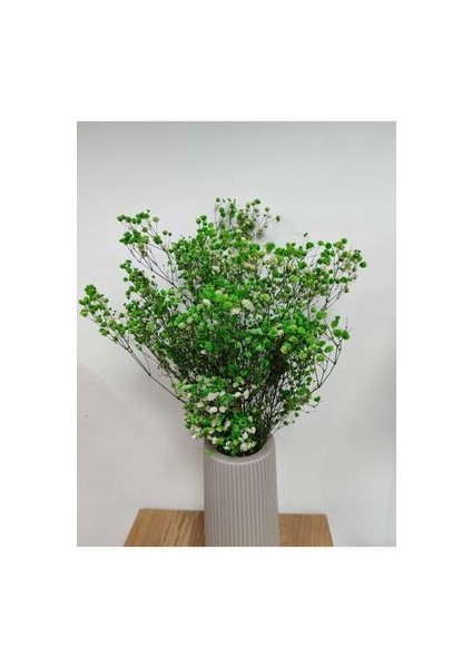 Şoklanmış 1.sınıf Cipso Renkleri 40-50 gr