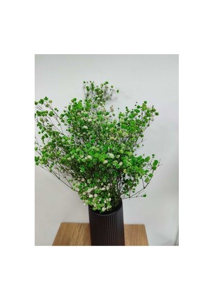 Şoklanmış 1.sınıf Cipso Renkleri 40-50 gr fiyatları