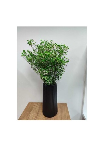 Şoklanmış 1.sınıf Cipso Renkleri 40-50 gr indirimleri