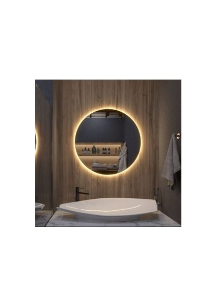 65 cm Gün Işığı LED Dekoratif Banyo Aynası fiyatları