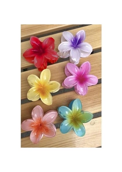 Lotus Çiçeği Mandal Toka 6lı Set Karışık Renk Çocuk Toka Büyük Boy