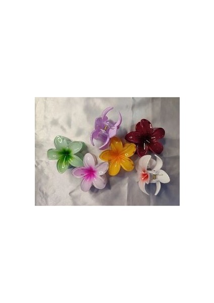 Lotus Çiçeği Mandal Toka 6lı Set Karışık Renk Çocuk Toka Büyük Boy indirimleri