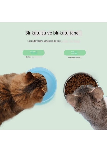 Pet Kaymaz Kase Köpek Kedi Köpek Kasesi Kedi Kase Çift Kase Köpek Maması Kasesi Köpek Kase Pirinç Kasesi Su Kasesi Kedi Kase (Yurt Dışından)