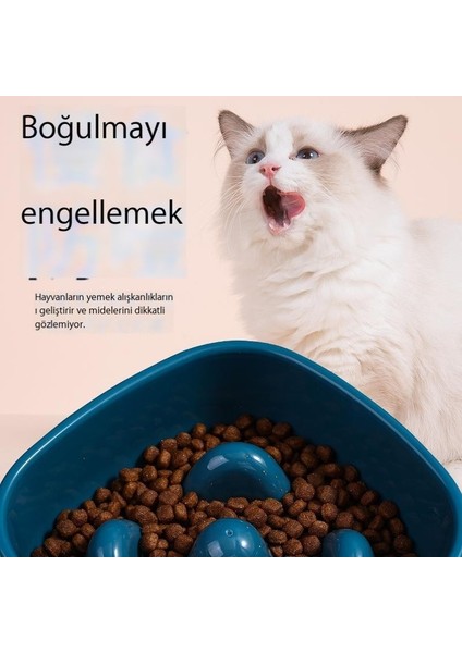 Pet Yavaş Yiyecek Kasesi Anti-Boğulma ve Engelleme Besleme Kasesi Yüksek Bacak Boyun Koruyucu Kedi Kase Köpek Kase Yavaş Yemek Evcil Hayvan Besleyici (Yurt Dışından) modelleri