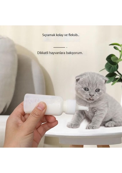 Kedi ve Yavru Köpeklerin Beslenmesi Için Pet Şişe Seti (Yurt Dışından)