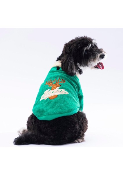 Yeşil Alaska Esnek, Küçük Irk Triko Köpek Trikosu