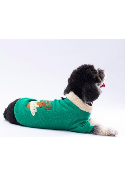 Yeşil Alaska Esnek, Küçük Irk Triko Köpek Trikosu fiyatları