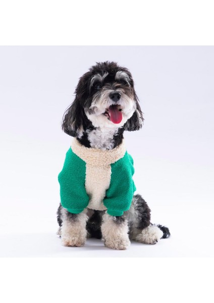 Yeşil Alaska Esnek, Küçük Irk Triko Köpek Trikosu fırsatları