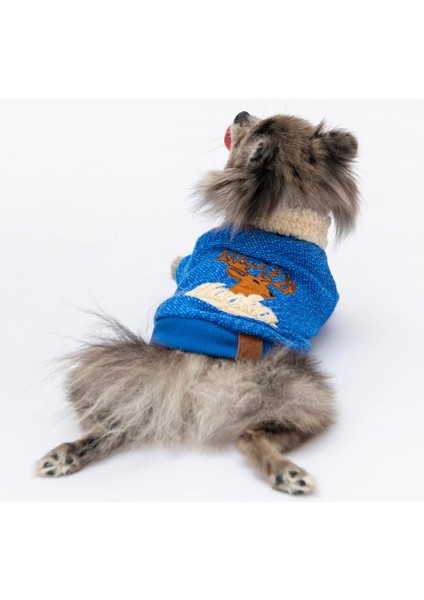 Sax Mavi Alaska Esnek, Küçük Irk Triko Köpek Trikosu modelleri