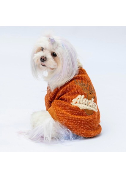 Kiremit Alaska Esnek, Küçük Irk Triko Köpek Trikosu