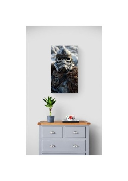 Star Wars - Viking Stormtrooper Cam Tablo