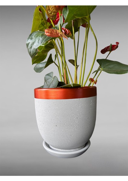 Çömlek Saksı Tabaklı Takım Y:24 cm-Ç:24 cm