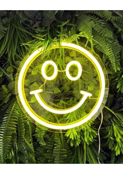 Neon LED Duvar Dekoratif Aydınlatma -Emoji, 20X20CM-