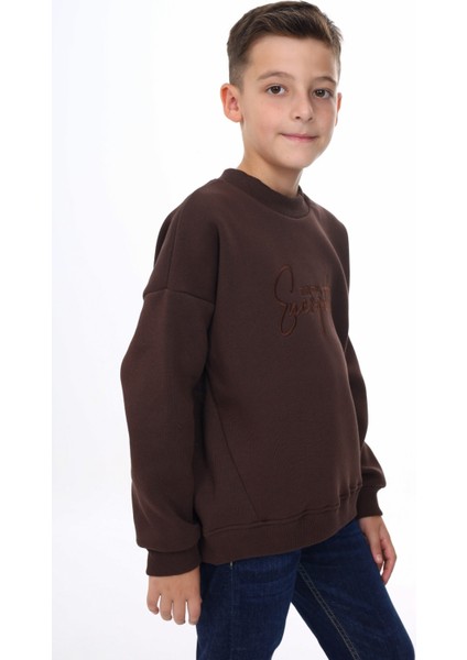 Erkek Çocuk Nakışlı Sweatshirt fiyatları