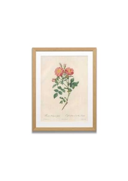 Pembe Çiçek - Ahşap Desenli Çerçeve