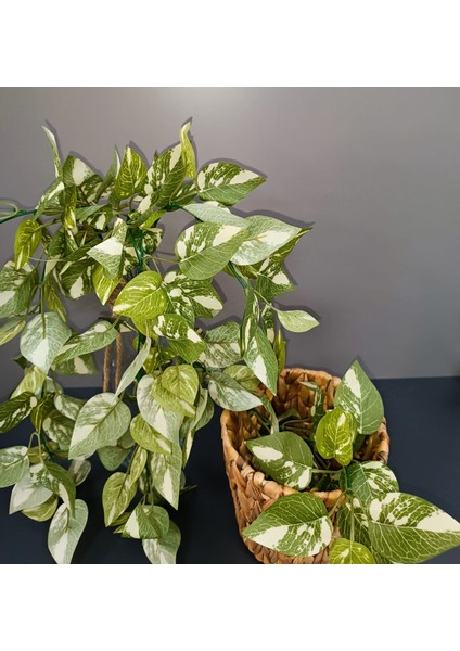 Osohome 5 Dallı 75 cm Haki Yapay Sarkıt Yaprak Dekoratif Dikey Bahçe Dekorasyon