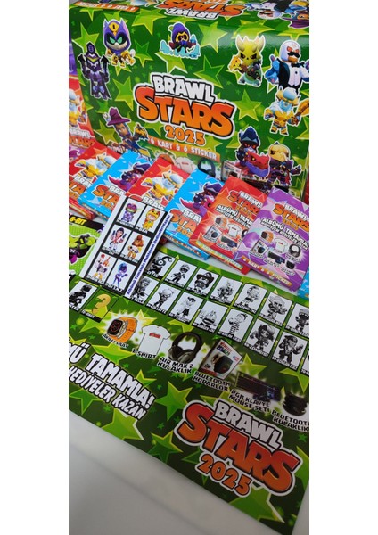 2025 Yeni Seri Oyun Kağıtları (48 Minik Kutu 288 Adet Kart 48 Adet 6lı Sticker 4 Adet Büyük Albüm)