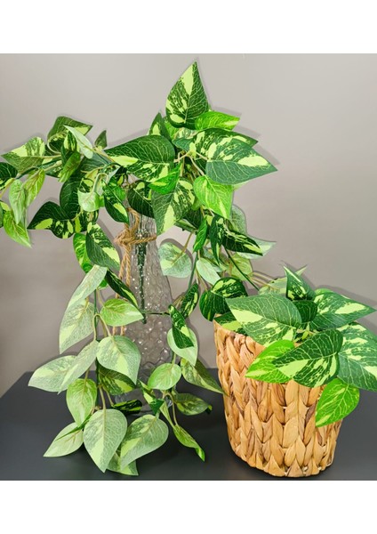 Osohome 5 Dallı 75 cm Yeşil Yapay Sarkıt Yaprak Dekoratif Dikey Bahçe Dekorasyon